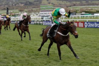 Racing Tips: 2021 Christmas Hurdle Tips & Preview – Now or Never for Epatante in Kempton Contest