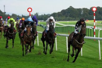 Racing Tips – Each Way Haydock Lucky 15 Tips for 1 December Card