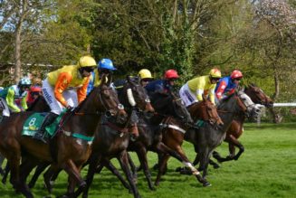 Racing Tips: Friday’s 290/1 Lucky 15 Tips from Exeter & Sandown