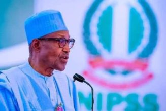 Ramp Up Operations In Solid Minerals Sector, President Buhari Directs PAGMI, Calls For Six-month Progress Report