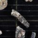 Researchers Discovered Life Forms Under an Antarctic Ice Shelf