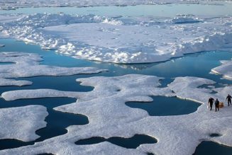 Rising temperatures are causing an unprecedented transformation in the Arctic