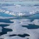 Rising temperatures are causing an unprecedented transformation in the Arctic