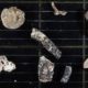 Scientists find unexpected trove of life forms beneath Antarctic ice shelf