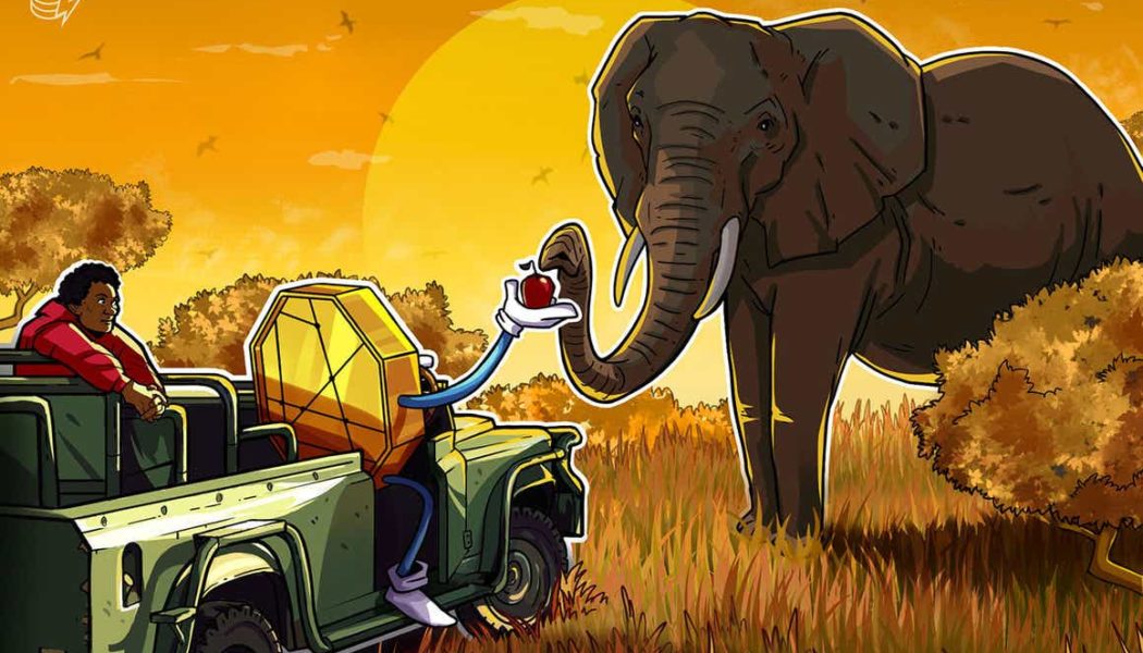 South Africa’s financial regulator plans to introduce framework aimed at protecting vulnerable crypto investors: Report