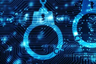 The State of Cyber Extortion Crime in South Africa