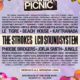 The Strokes, LCD Soundsystem, Le Tigre Reunion Headline New Festival This Ain’t No Picnic