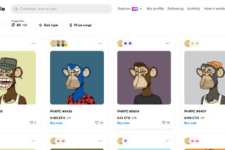 Two NFT copycats are fighting over which is the real fake Bored Ape Yacht Club