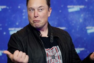 University Papers Graded by Elon Musk Sold For Almost $8,000 USD