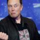 University Papers Graded by Elon Musk Sold For Almost $8,000 USD