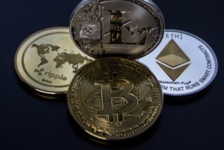 What is Different Between Coins and Tokens?