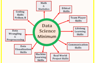 What Qualifications Do Data Scientists Need?