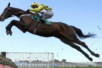 2022 Queen Mother Champion Chase Odds & Entries – Shishkin Among 22 Possible Runners at Cheltenham