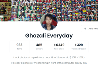 22-year-old Indonesian boy makes $1M by selling NFT selfies on OpenSea