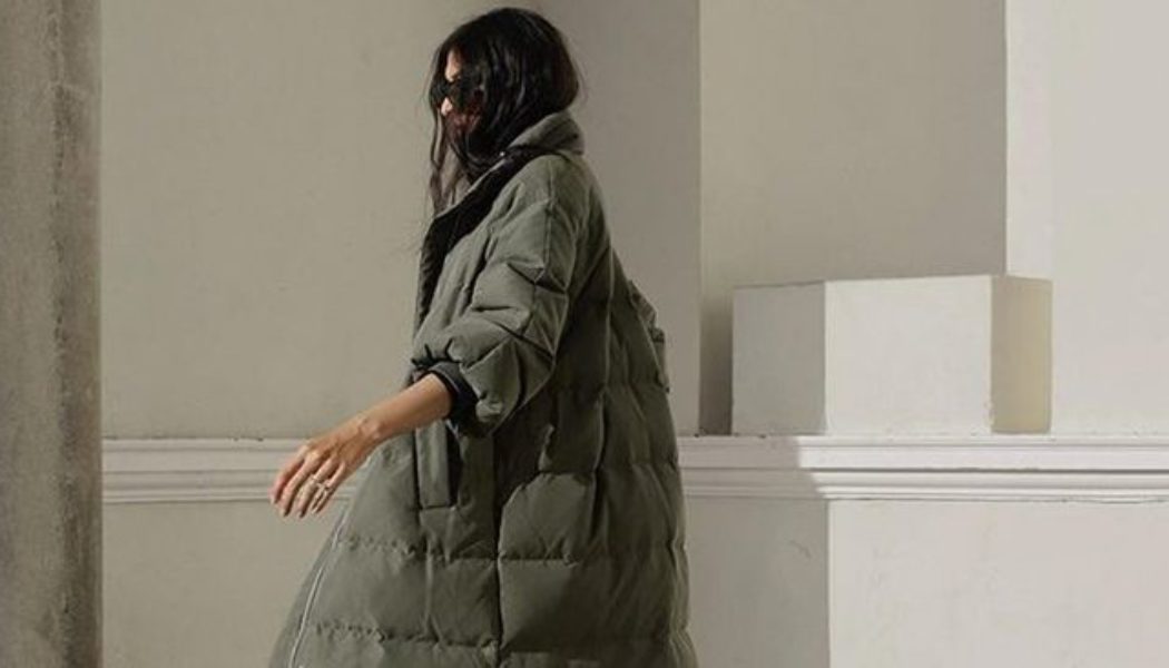24 Winter Coats That Understood the Chic-But-Affordable Assignment