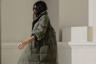 24 Winter Coats That Understood the Chic-But-Affordable Assignment