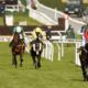 Allaho Horse Racing News – Bet365 Slash Mullins Mount for Successful Ryanair Chase Defence at Cheltenham Festival