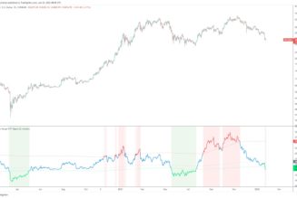 Bitcoin ‘enters value zone’ as BTC price floor metric goes green again