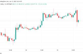 Bitcoin sells off after $44K resistance tap, eliciting scrutiny from options traders