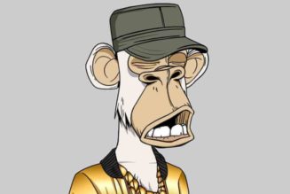 Bored Ape Yacht Club is a huge mainstream hit, but is Wall Street ready for NFTs?