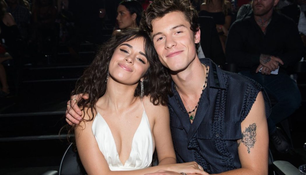Camila Cabello Shares Sweet Comment After Shawn Mendes Teases New Music