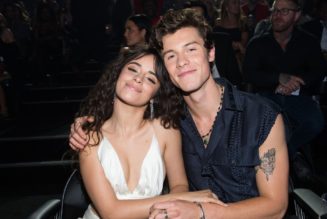 Camila Cabello Shares Sweet Comment After Shawn Mendes Teases New Music
