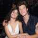 Camila Cabello Shares Sweet Comment After Shawn Mendes Teases New Music
