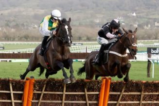 Cheltenham Festival Trials Day Tips – Five Best Bets & Saturday Selections