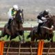 Cheltenham Festival Trials Day Tips – Five Best Bets & Saturday Selections