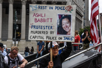 Conservatives Want Rioter Ashli Babbitt To Be A Martyr So Bad, But…The Facts