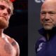 Dana White Responds to Jake Paul Saying He’ll Retire From Boxing if UFC Fighter Pay Increases