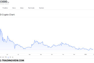DOGE, SHIB and SPELL are the best meme tokens you can buy on January 20, 2022 and this is why!