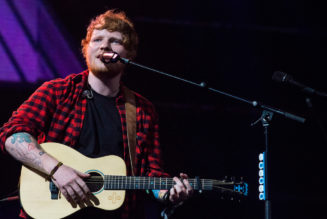 Ed Sheeran Wants to Build a Crypt on His Estate