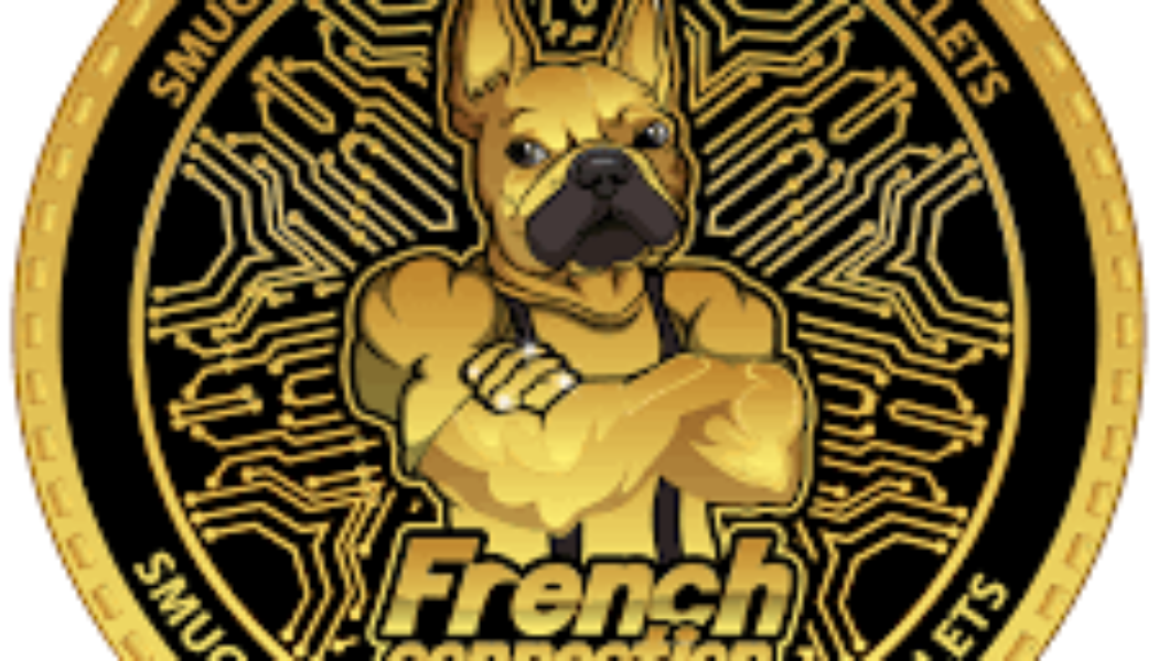 French Connection Finance Launches Innovative Payment Gateway