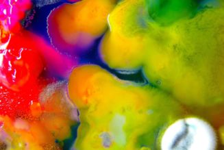 Guerilla Toss Announce New Album, Share Video for New Song “Cannibal Capital”: Watch