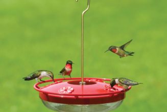 How to make your home office a more pleasant place to work