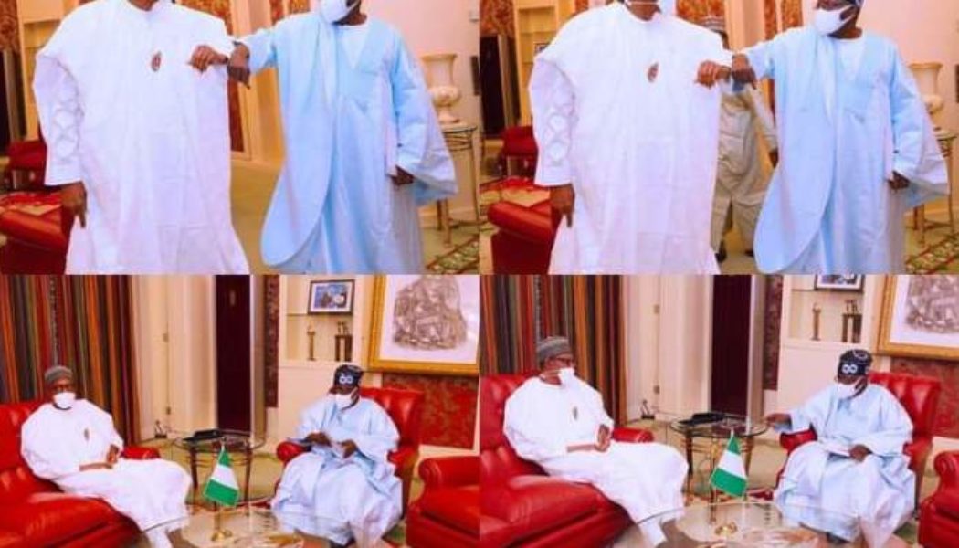 I have informed President Buhari of my 2023 presidential ambition — Tinubu