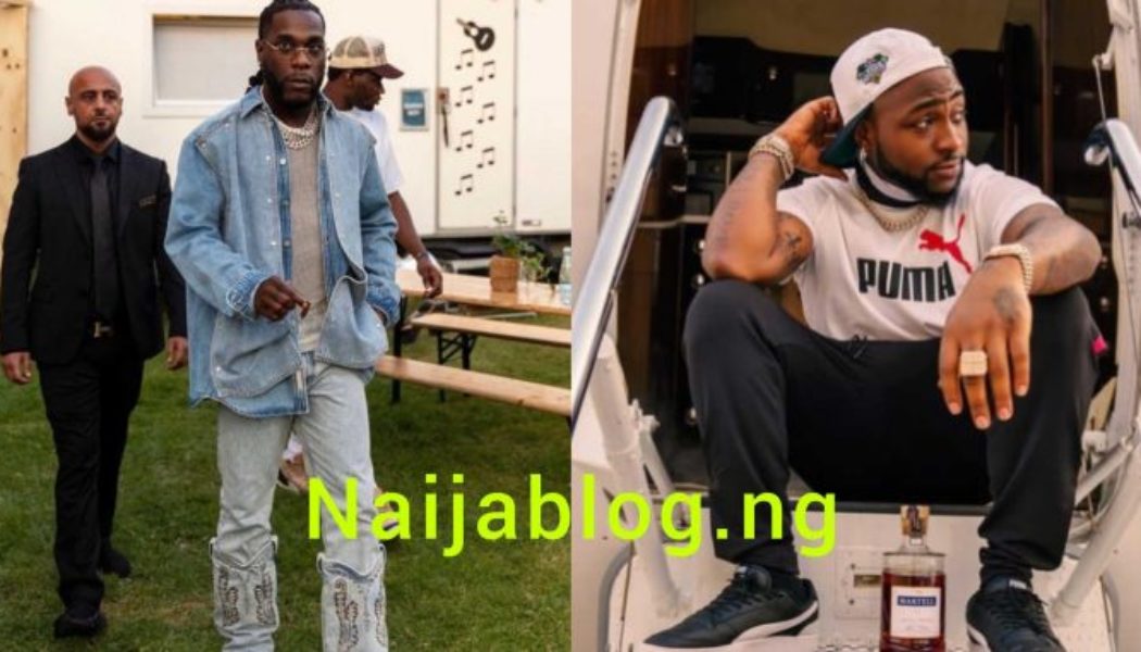 I Have No issues With Davido – Burna Boy