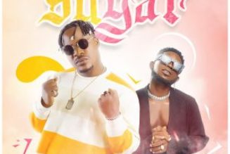 Jaywon ft Jaywillz – Sugar