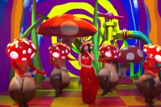 Katy Perry Joined by Alesso, Dancers Dressed as Mushrooms on SNL: Watch