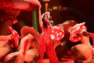 Katy Perry Joined by Alesso, Giant Mushroom Dancers on SNL: Watch