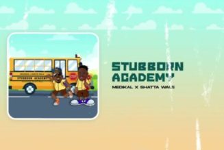Medikal ft Shatta Wale – Stubborn Academy