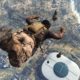Microsoft and Activision Blizzard: the latest news on the acquisition