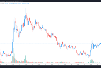 Moonbeam (GLMR) launch brings EVM interoperability closer to the Polkadot network