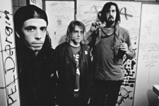 Nirvana Nevermind Cover Art Lawsuit Dismissed