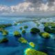 Palau Launches a Digital Residency Program