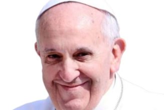 Parenthood: It is selfish to breed pets in place of children — Pope Francis