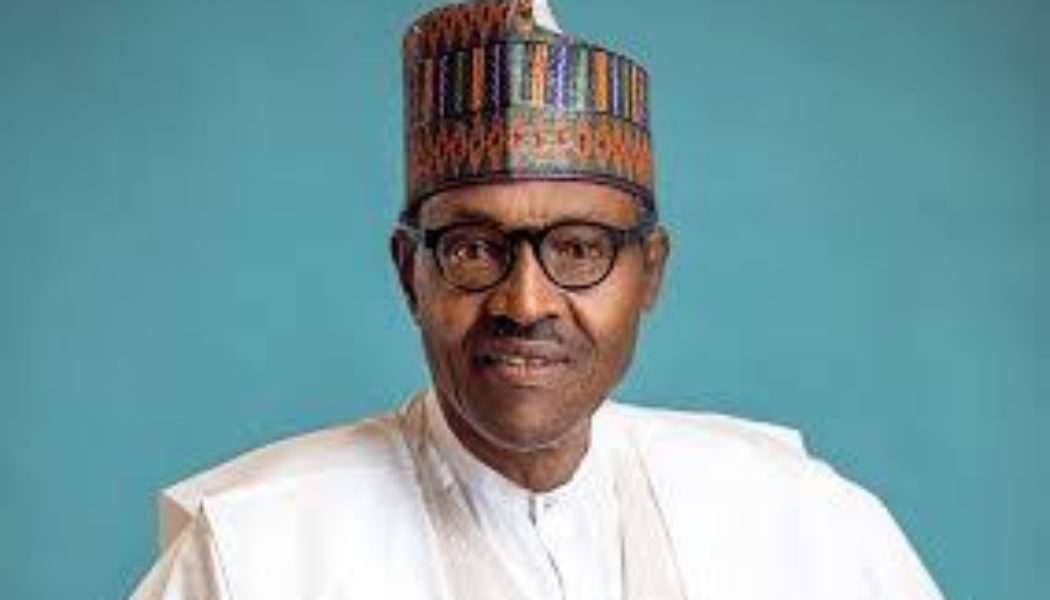 President Buhari Unveiled Worlds Largest Rice Pyramid in Abuja