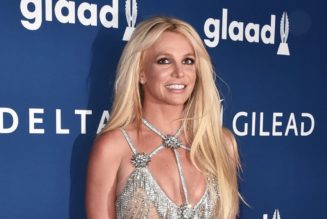 Purple Hair, Don’t Care: Britney Spears Unveils Hair Transformation