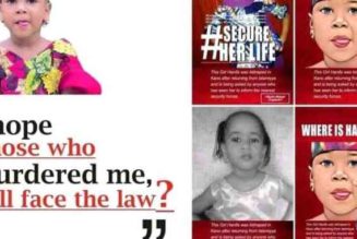 Senator Shehu Sani Commend DSS and Police over the arrest of Hanifa Killers